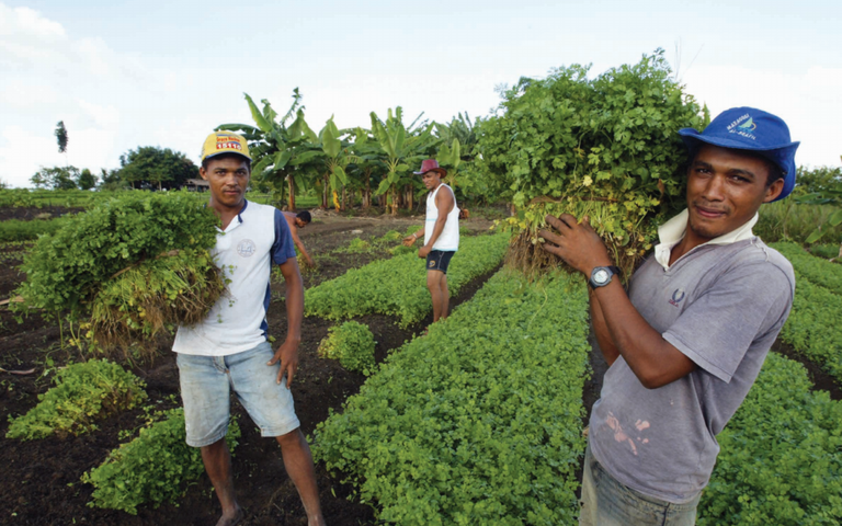 Governo repassa R 1 37 milhão para agricultura familiar V9 TV Uberlândia