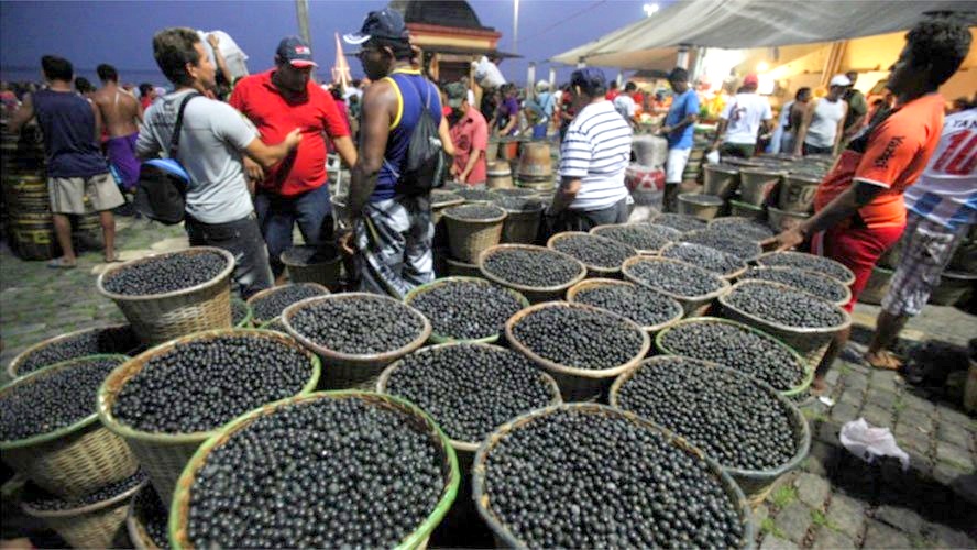 Alimentos mal higienizados podem ser via de contaminação da doença de