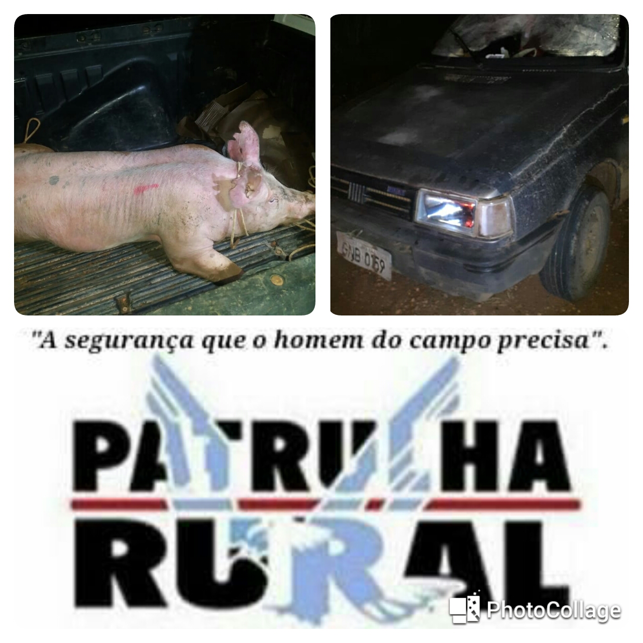 Dupla Presa Cabe A De Gado Furtada Na Zona Rural De Uberaba V