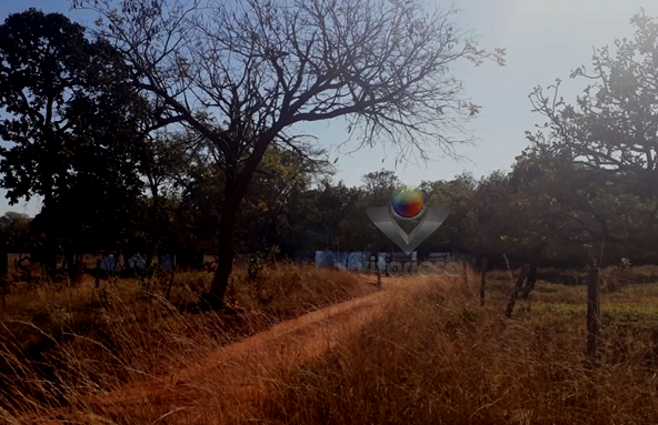 Grupo Sem Teto Invade Fazenda Em Prata Mg E Exige R Mil Para Ir